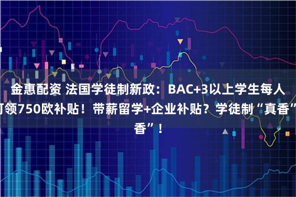 金惠配资 法国学徒制新政：BAC+3以上学生每人可领750欧补贴！带薪留学+企业补贴？学徒制“真香”！