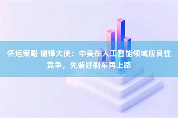 怀远策略 谢锋大使：中美在人工智能领域应良性竞争，先装好刹车再上路