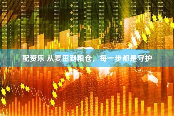 配资乐 从麦田到粮仓，每一步都是守护